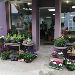 O Mille Et Une Fleurs, Pré-en-Pail - Horaires d'ouverture