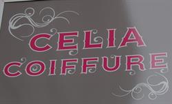 Celia Coiffure, Pouilly-en-Auxois - Horaires d'ouverture