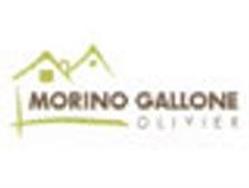 Morino-gallone Olivier, Loire-Authion - Horaires d'ouverture