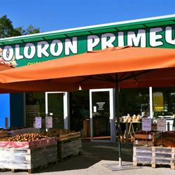 Oloron Primeur, Oloron-Sainte-Marie - Horaires d'ouverture