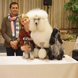 Canina & Amazing toilettage, Palavas-les-Flots - Horaires d'ouverture
