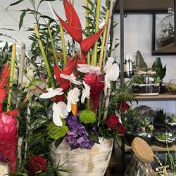 Once Upon a Time Flowers, Vézeronce-Curtin - Horaires d'ouverture