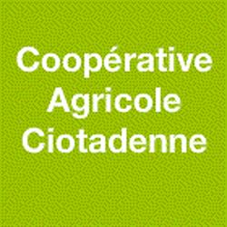 Azur Coop, Saint-Cyr-sur-Mer - Horaires d'ouverture