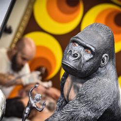 Old Monkey Tattoo Shop, Soultz-Haut-Rhin - Horaires d'ouverture