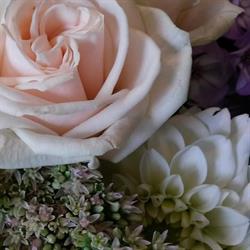 Fleurs Et Déco De L'orge, Savigny-sur-Orge - Horaires d'ouverture