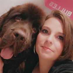 Salon de toilettage Dog Chic, Neuilly-en-Thelle - Horaires d'ouverture