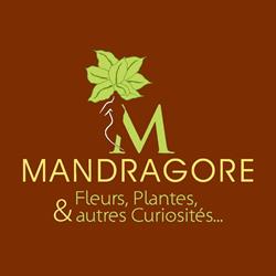 Mandragore, Fontaine-le-Dun - Horaires d'ouverture