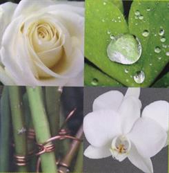 Katia Fleurs, Saint-Quentin-la-Poterie - Horaires d'ouverture