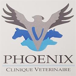 Phoenix Clinique Vétérinaire, Chasseneuil-sur-Bonnieure - Horaires d'ouverture