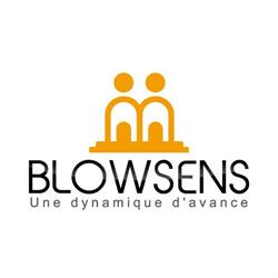 Agence immobilière BLOWSENS Sainte-Soulle, - Horaires d'ouverture
