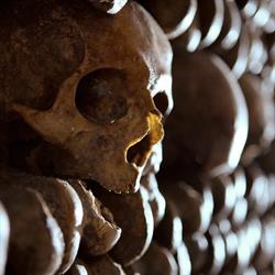 Les Catacombes de Paris, - Horaires d'ouverture