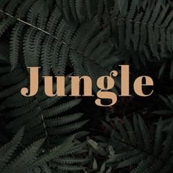 Jungle, Belfort - Horaires d'ouverture