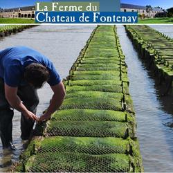Ferme du Château de Fontenay, Saint-Marcouf - Horaires d'ouverture