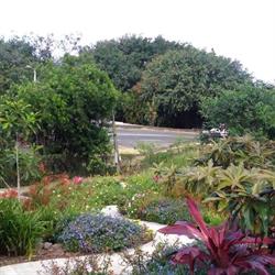 JARDIN CREOLE Paysagiste La Reunion, Saint-Pierre - Horaires d'ouverture