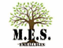 E - S - Multi Emballages Services, Beaumont-Pied-de-Boeuf - Horaires d'ouverture
