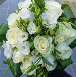 Fleurs de pivoine, Hem-Lenglet - Horaires d'ouverture