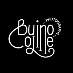 Coline Buino Photographe, Péaule - Horaires d'ouverture