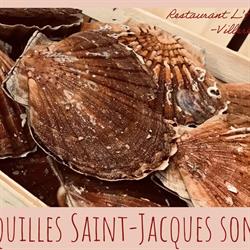Au Restaurant L’Hippocampe, Villeréal - Horaires d'ouverture