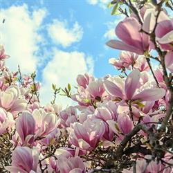 L'Arrosoir, Fleuriste à Pernes, - Horaires d'ouverture
