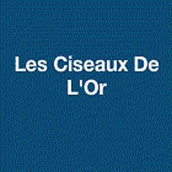 Les Ciseaux De L'Or, Touques - Horaires d'ouverture