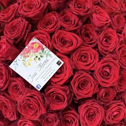 Jess'Fleurs, Le Titre - Horaires d'ouverture