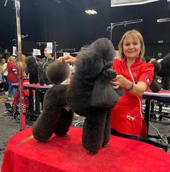 Tendance Canine le salon d'Aurélia, Mulhouse - Horaires d'ouverture