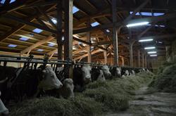 La ferme de maneguet, Taninges - Horaires d'ouverture