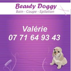 Toilettage Beauty Doggy, Saint-Séverin - Horaires d'ouverture