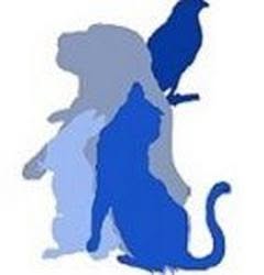 Clinique vétérinaire des Mele'chiens et chats, Melesse - Horaires d'ouverture