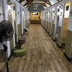Cat Cocooning pension pour chats, Lallaing - Horaires d'ouverture
