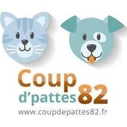 Coup d'pattes 82 Pension chats Montauban, - Horaires d'ouverture