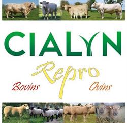 CIALYN, Migennes - Horaires d'ouverture