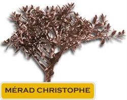 Merad Christophe, Parempuyre - Horaires d'ouverture