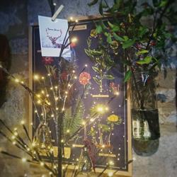 Bazar Celeste, Rocamadour - Horaires d'ouverture