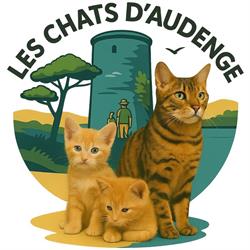 Les Chats d'Audenge, - Horaires d'ouverture