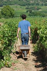 le petit domaine., Montpeyroux - Horaires d'ouverture