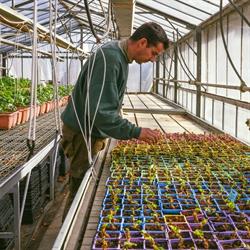 Evrard Horticulture, Cognin - Horaires d'ouverture