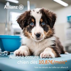 Allianz assurances David Podevin, Samer - Horaires d'ouverture