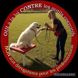 Déclic Dog Passion, Ouve-Wirquin - Horaires d'ouverture