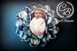 Céline b photographies, Bougnon - Horaires d'ouverture