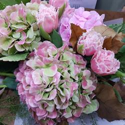 Les Fleurs De Claudel, Montigny-le-Bretonneux - Horaires d'ouverture