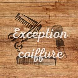 Exception Coiffure, Mézières-sur-Issoire - Horaires d'ouverture