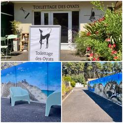 Toilettage des Oyats, Arès - Horaires d'ouverture