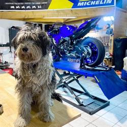 Paddock 66, Elne - Horaires d'ouverture