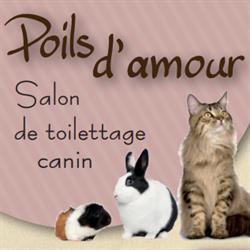 Poils D'amour, Ergué-Gabéric - Horaires d'ouverture