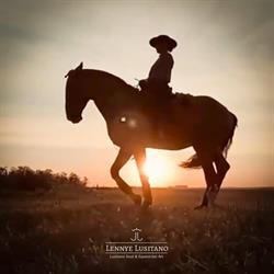 Lennye Lusitano, Mesnil-Verclives - Horaires d'ouverture