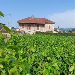 Domaine Père Benoît SARL, Saint-Lager - Horaires d'ouverture