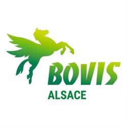 BOVIS ALSACE, Hangenbieten - Horaires d'ouverture