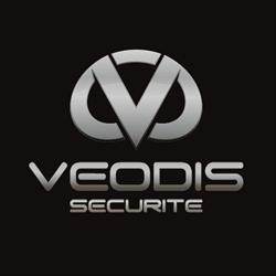 VEODIS SECURITE, Saint-Maur-des-Fossés - Horaires d'ouverture