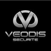 VEODIS SECURITE, Saint-Maur-des-Fossés - Horaires d'ouverture